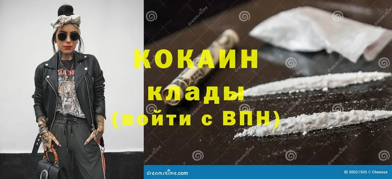 Cocaine Fish Scale  закладка  Гагарин 