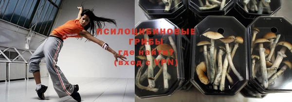 прущая мука Тайга