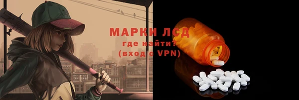 винт Анива