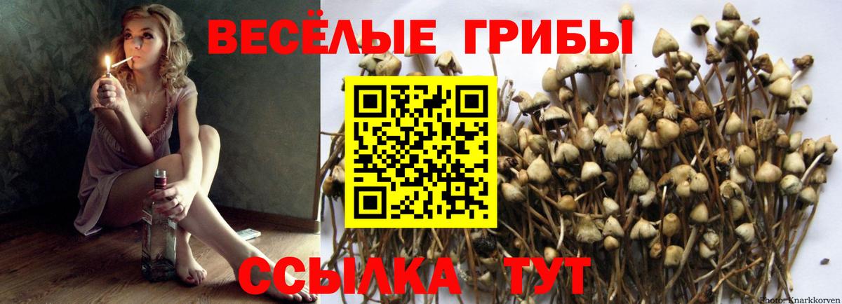 МЕФ  Круглые  COCAIN  Марихуана  Кислота  Вход с VPN  Ляпка  Гашик  Масло THC  МЕФ  Гагарин  МДМА 