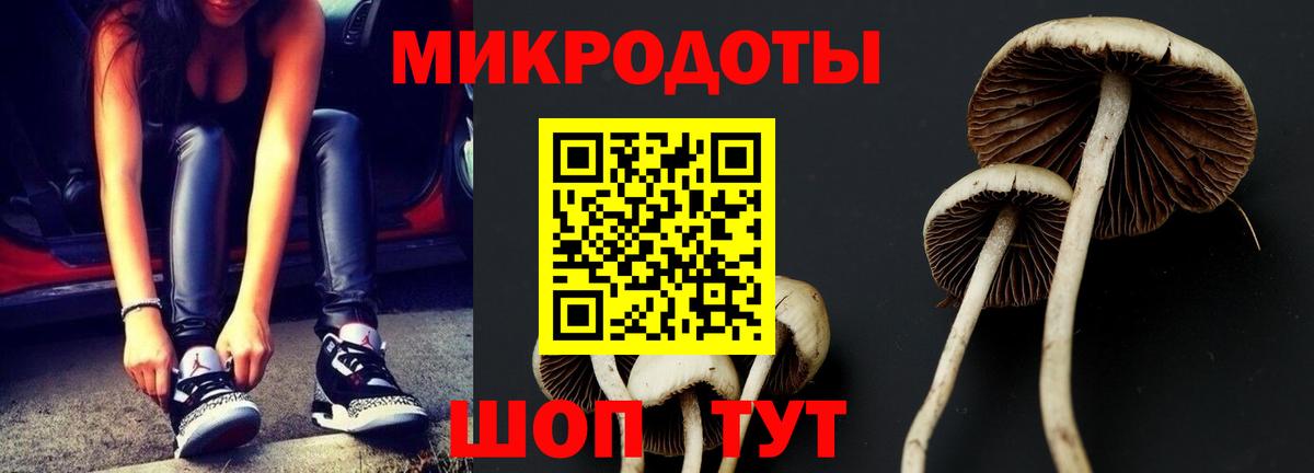 Псилоцибиновые грибы MAGIC MUSHROOMS Гагарин